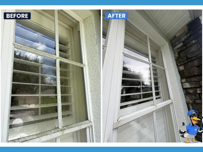 Before and after exterior window cleaning on a stone-and-stucco Tampa home