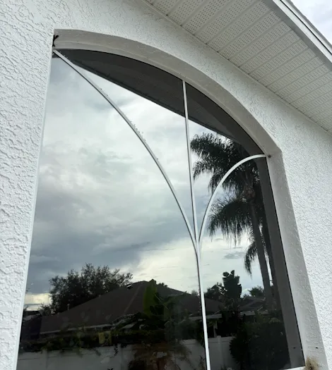 Freshly cleaned arched window reflecting palms and sky