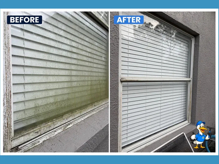 Before and after mineral-streaked window restored to spotless
