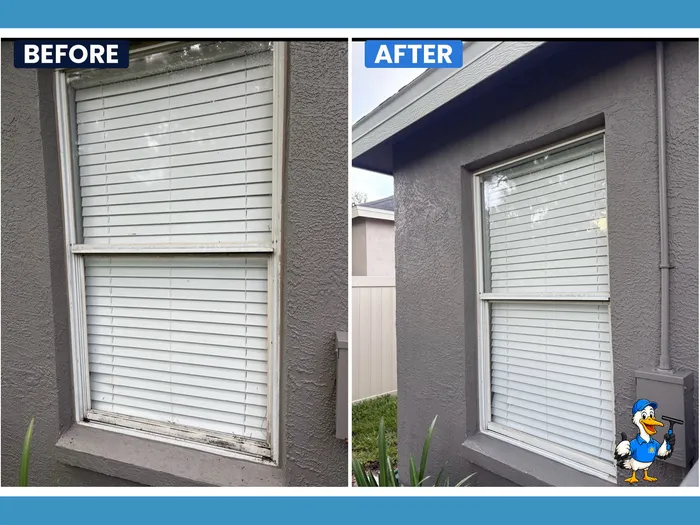 Before and after tinted window cleaning