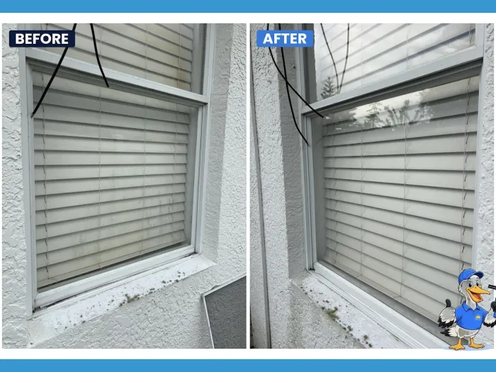 Before and after window cleaning with interior blinds visible through clear glass