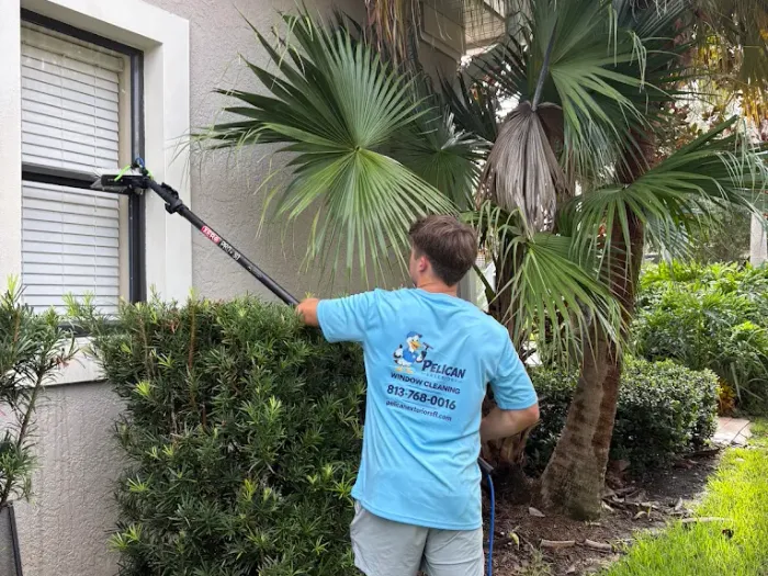 Reaching over landscaping to clean windows with a water-fed pole in Tampa