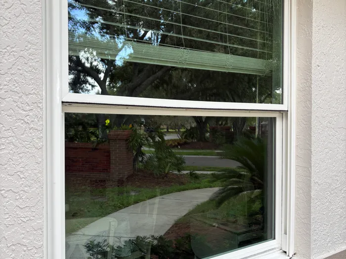 Freshly cleaned window, streak-free
