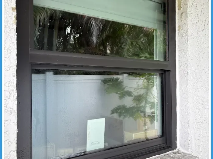 Freshly cleaned dark-framed window on a Tampa home