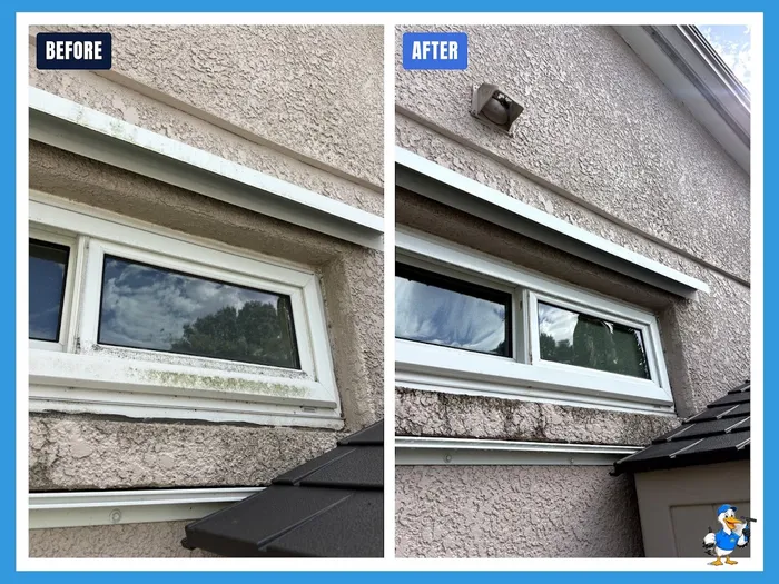Before and after cleaning a mildewed window sill and eave in Tampa