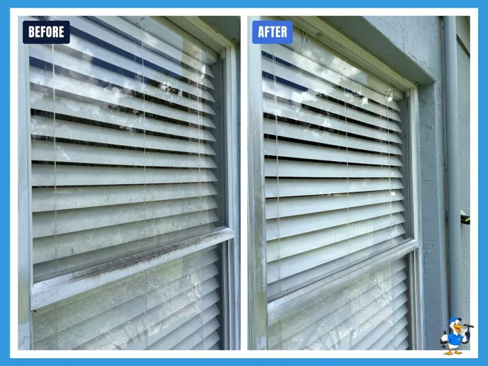 Before and after removing mildew from a window sill and blinds