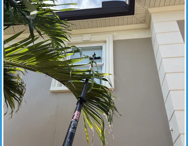 Window cleaning by Pelican Exteriors in Cheval, Tampa FL