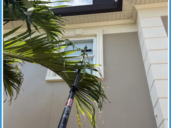Water-fed pole reaching upper-story glass on a large Tampa home