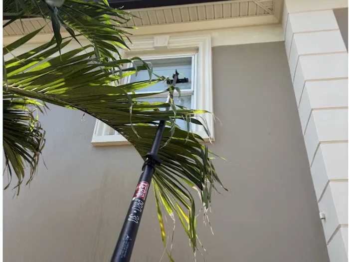 Water-fed pole cleaning high windows on a three-story Tampa home