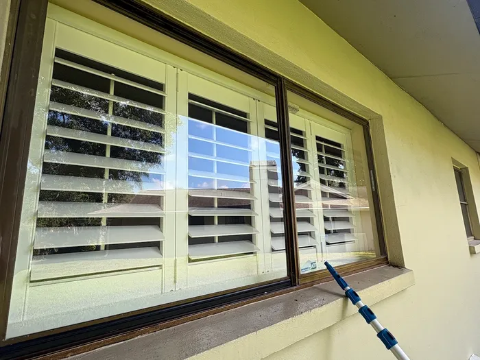 Water-fed pole cleaning a picture window on a Tampa home
