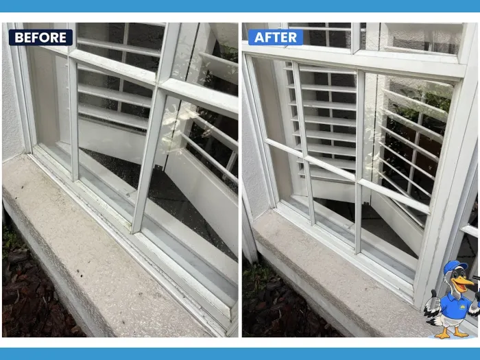 Before and after screened window cleaning