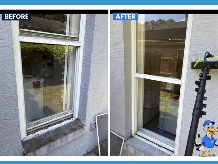 Before and after window cleaning with our water-fed pole system
